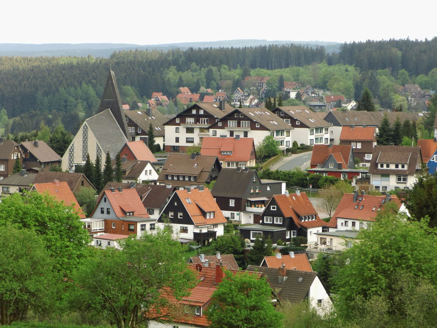 Harzverliebt - Eine Woche im Harz 