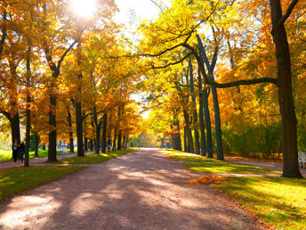 Goldener Herbst im Braunschweiger Land  3 Tage