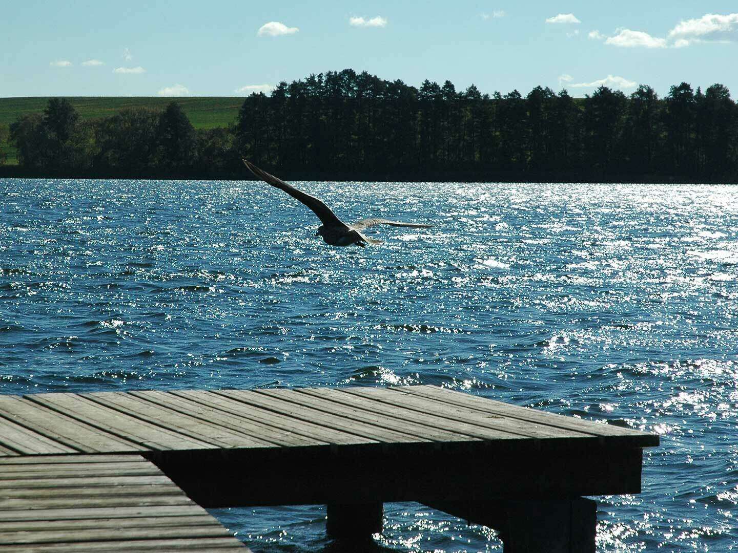 Fahrradtour entlang der Schweriner Seenplatte inkl. romantischem Abendessen