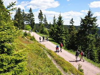 7 Tage Ferien im Thüringer Wald 