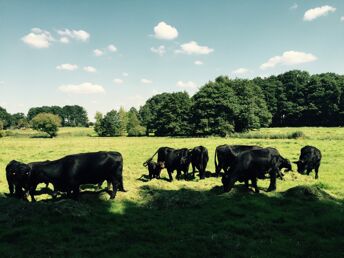 Ab auf`s Rad - Auf zwei Rädern durch die Lüneburger Heide 