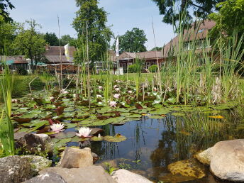 Genießer- Auszeit im Grünen- 5 Tage in der Lüneburger Heide    