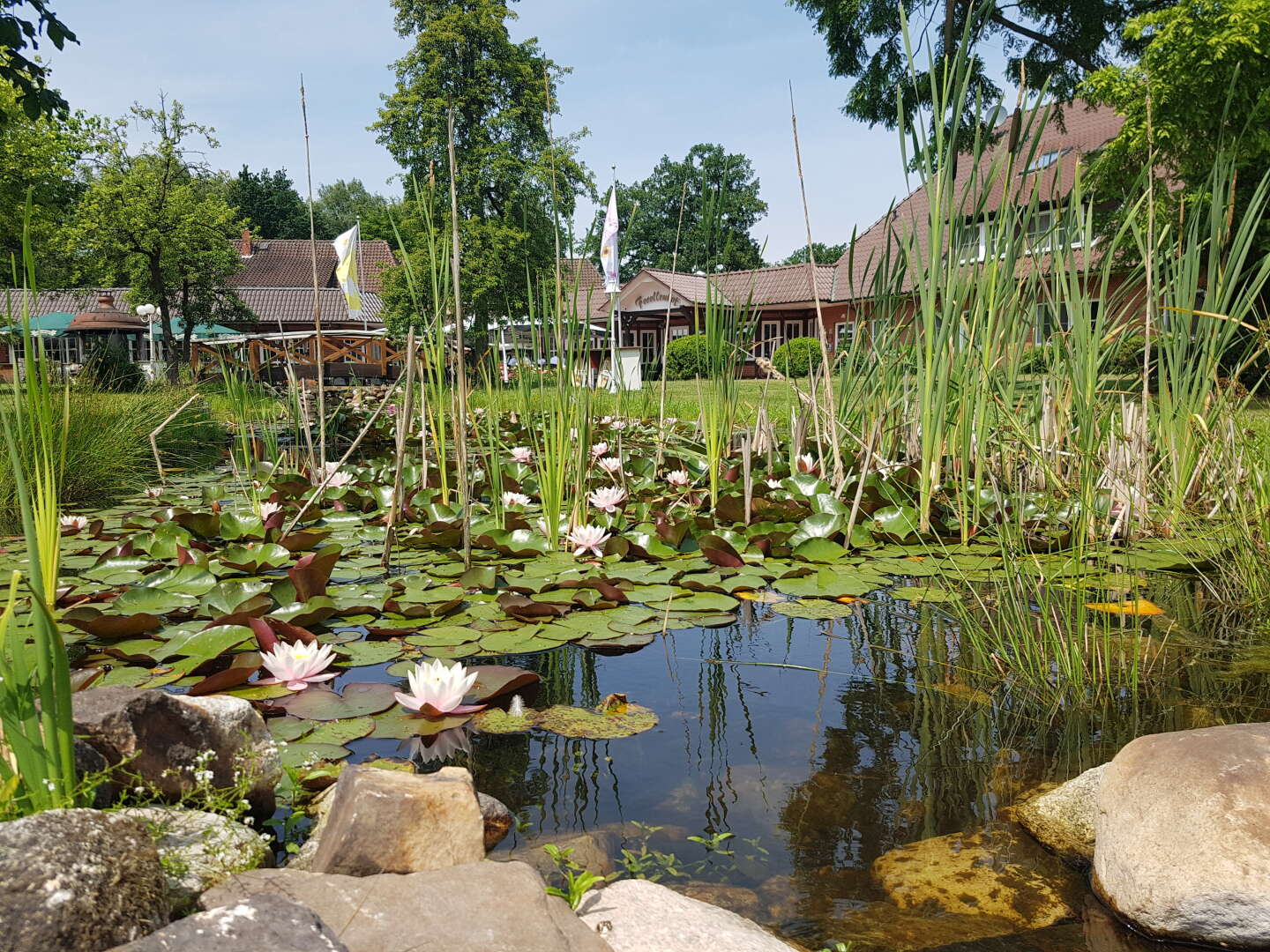 Genießer- Auszeit im Grünen- 6 Tage in der Lüneburger Heide     