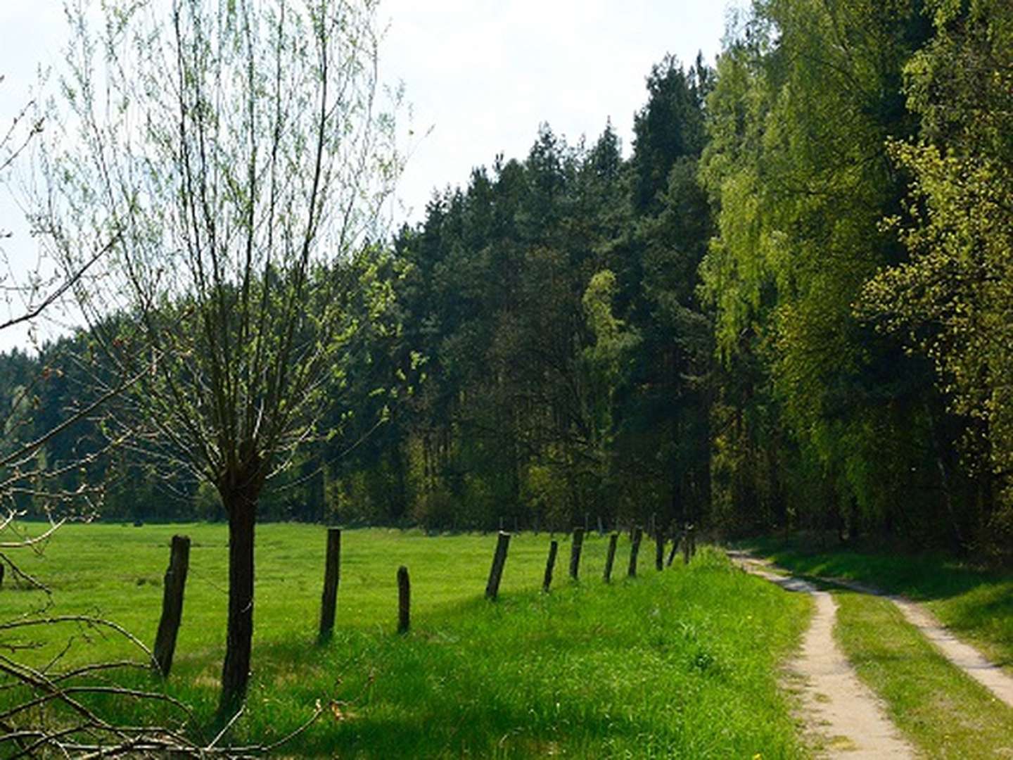 Kurzurlaub - den gönn ich mir an der Müritz I 2 Nächte