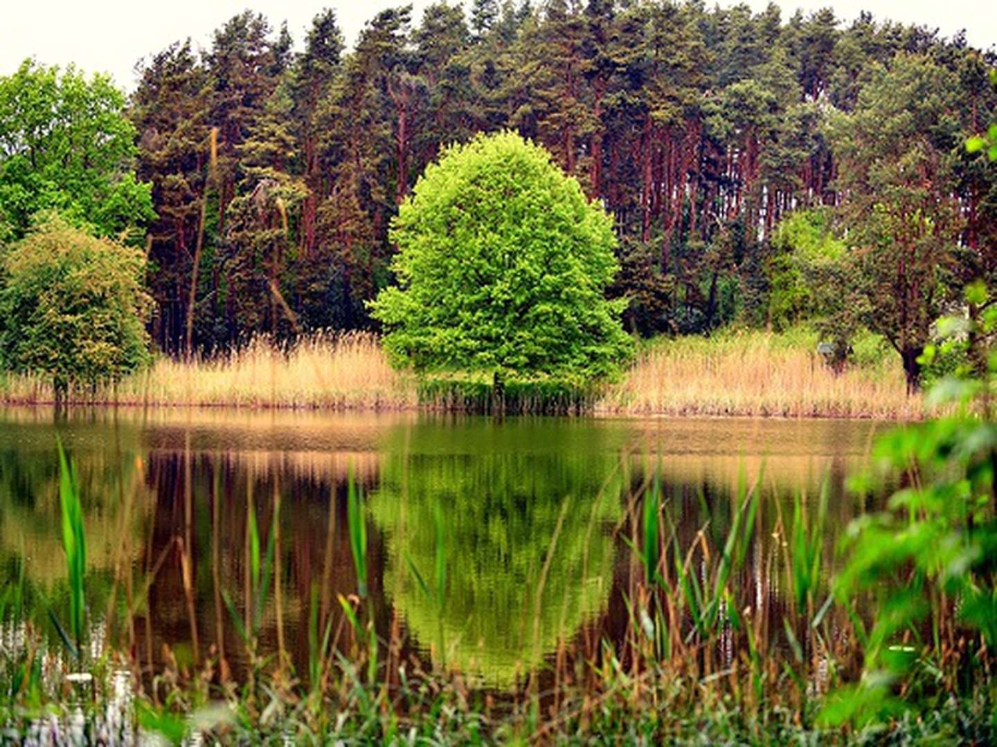 Kurzurlaub - den gönn ich mir an der Müritz I 3 Nächte