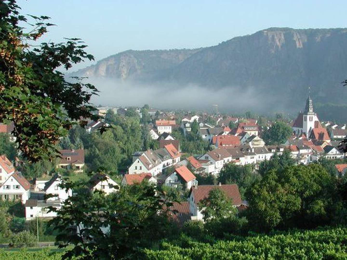 4 Tage Burg Blick Sonderangebot inkl. Weinprobe in der Region Rhein - Hunsrück - Nahe