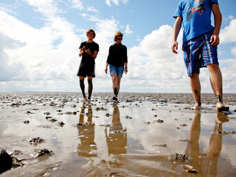  Einsame Strände - 6 Tage Natur an der Nordsee genießen