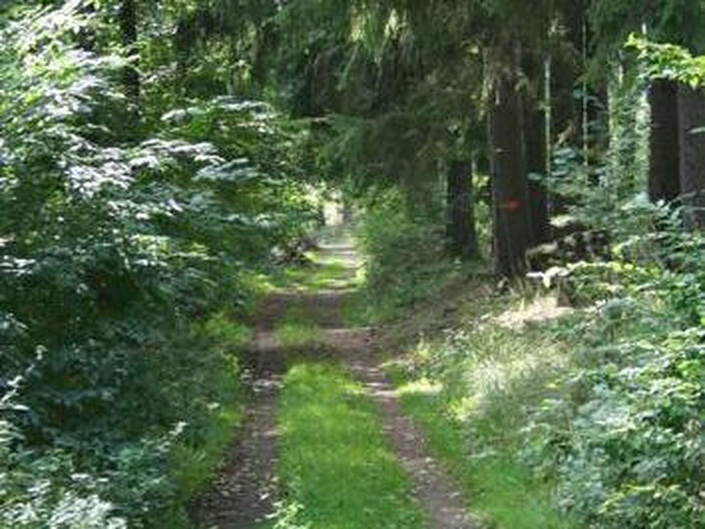 Kurzurlaub im SonnenBlick im hessischen Bergland