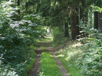 4 Tage Auszeit im Sonnenblick im schönen Hessen inkl. Halbpension