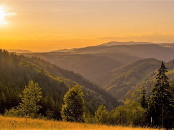 Auszeit im Schwarzwald mit Fondue-Abend 5 Tage