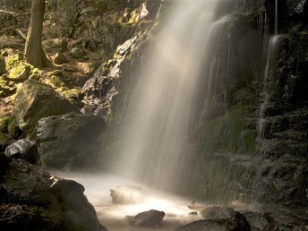 Auszeit im Schwarzwald mit Fondue-Abend 5 Tage