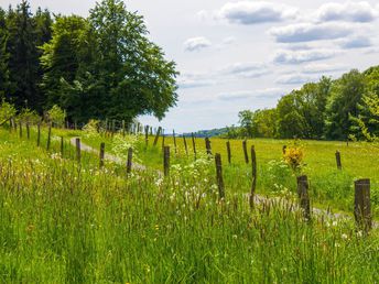 Wir bleiben in Deutschland - 6 Tage Urlaub im Oberbergischen Land