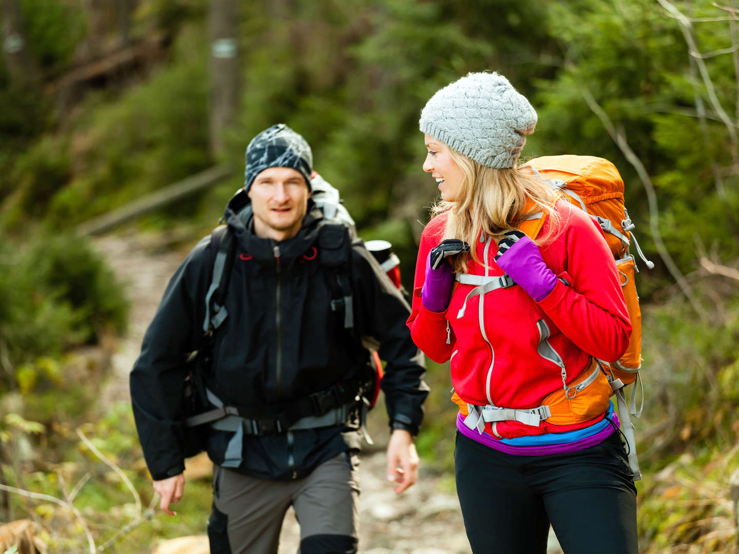 3 Tage Wandern im Harz und Umgebung