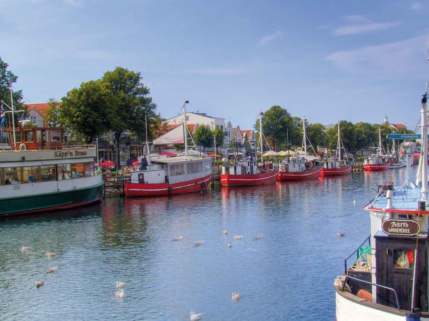 Auszeit mit nur 100 Meter vom Ostseestrand