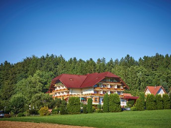 Schnupperangebot - 4 Tage im Schwarzwald