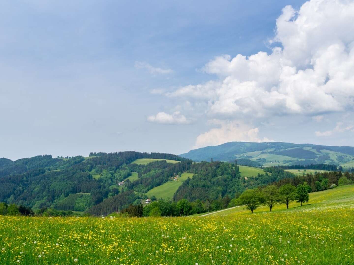 Schnupperangebot - 2 Tage im Schwarzwald