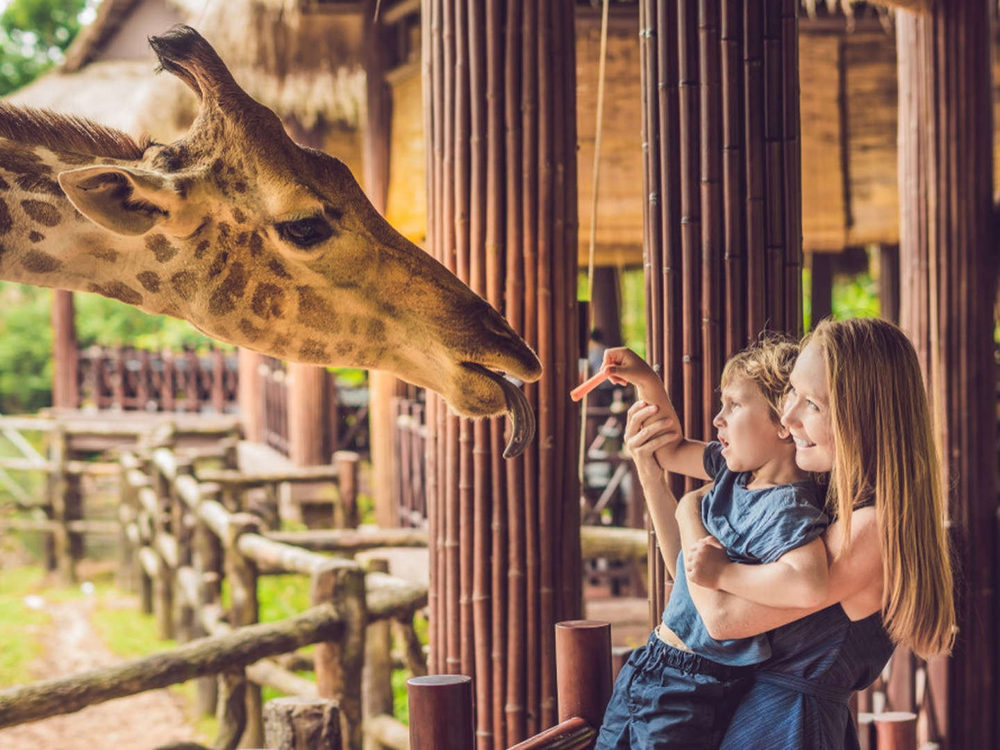 Erlebnis-Zoo Hannover entdecken| 3 Tage 