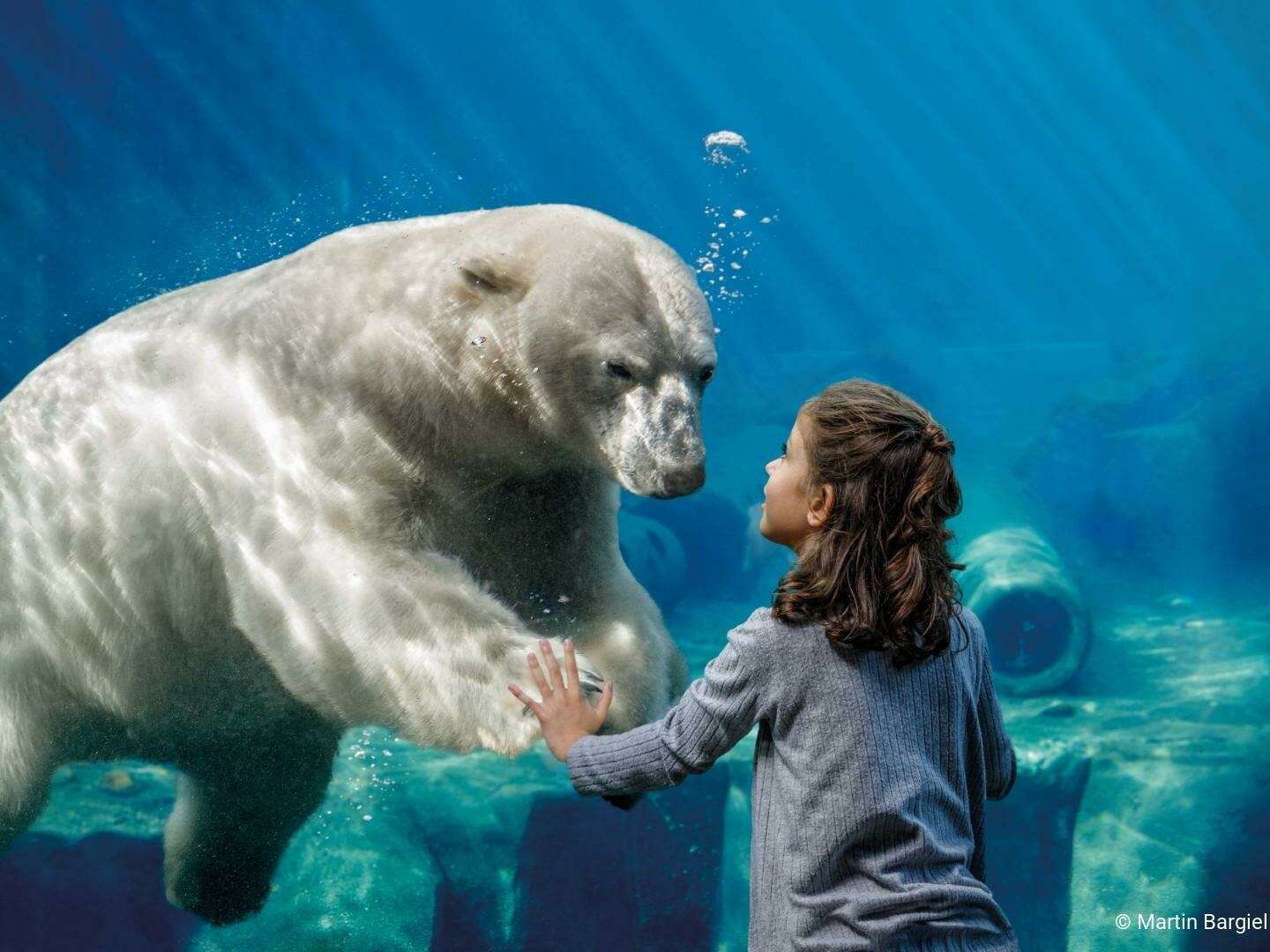 3 Tage | Hannover einfach tierisch - Zoo & Sealife erleben mit der ganzen Familie