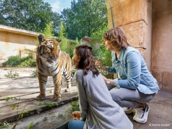 2 Tage | SOMMER SAISON - Familienzeit in der Region Hannover - Mit Besuch im ZOO 