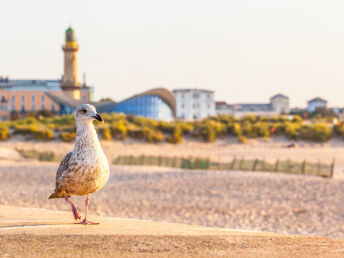 Urlaubswoche in Rostock 