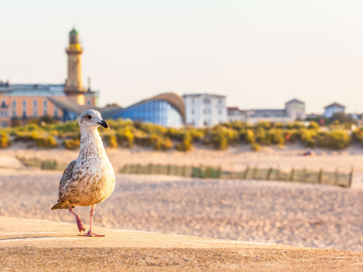 Urlaubswoche in Rostock 