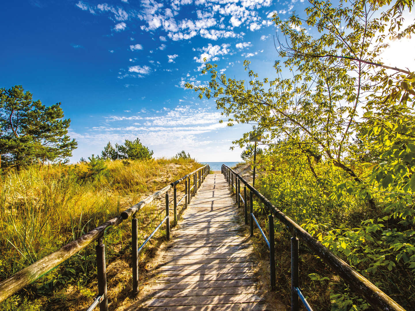 Zweisamkeit auf Usedom