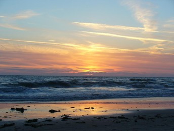 Naturerlebnis Nordsee