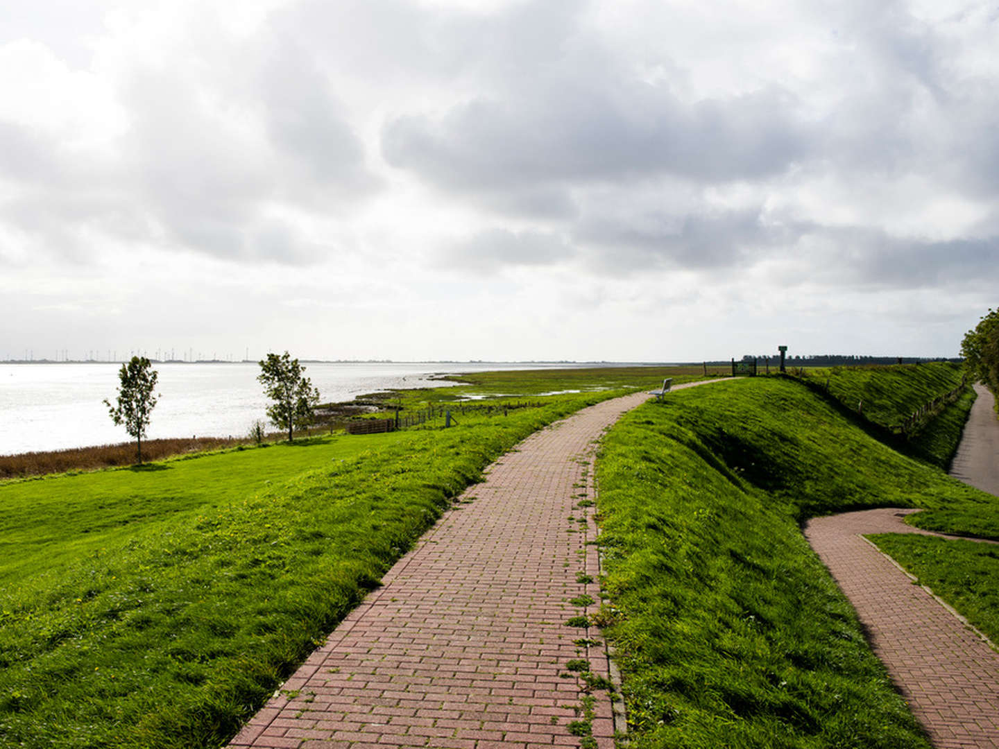 Naturerlebnis Nordsee