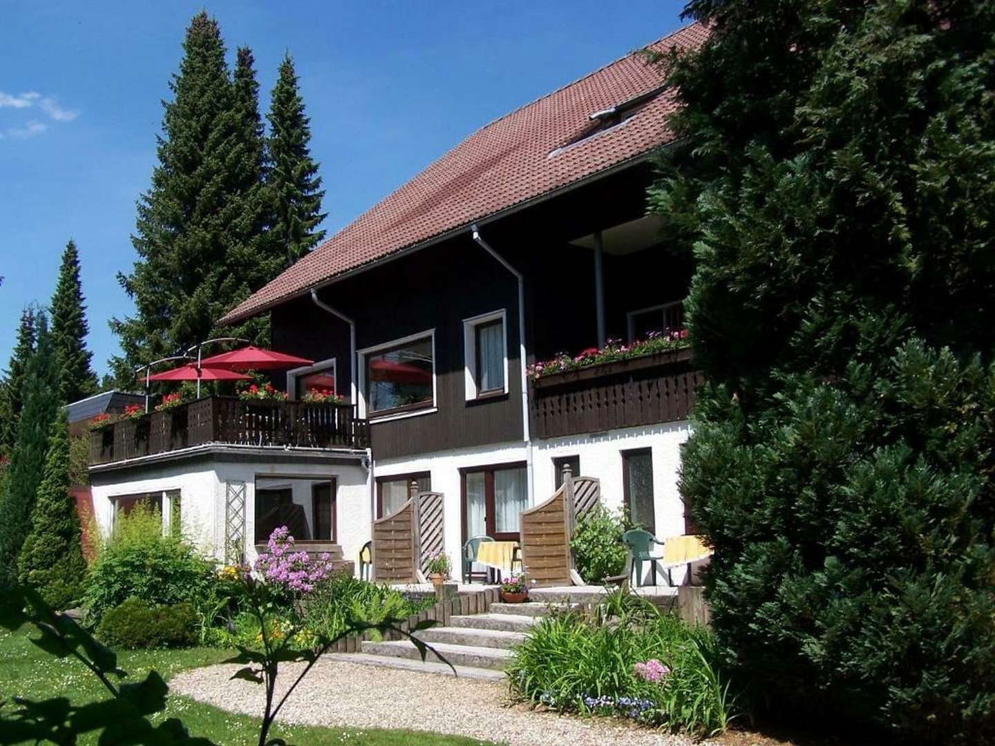  Last Minute in den Harz ab 99,00 EUR