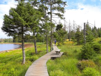 Wanderspaß im Harz