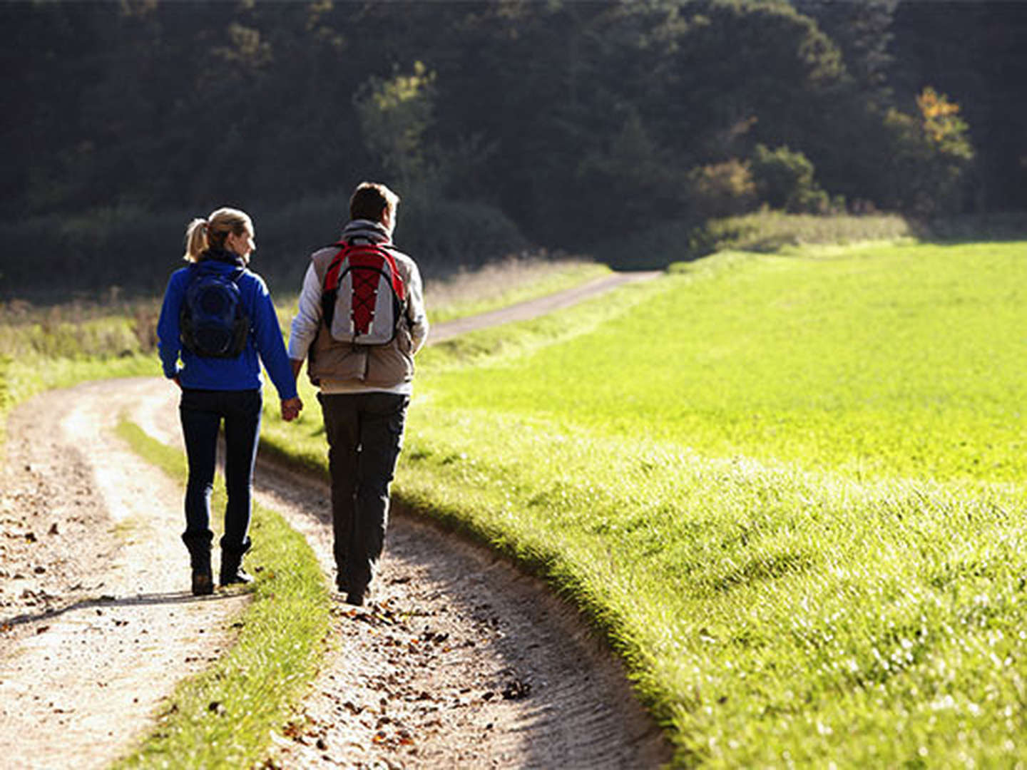 Den Harz erkunden inkl. Lunchpakete – 4 Tage