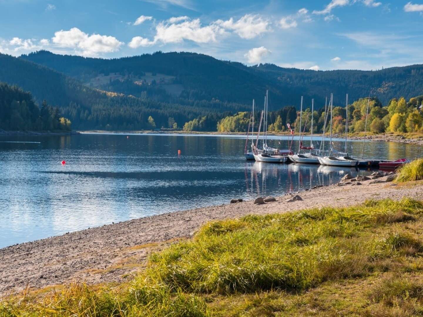 Schwarzwaldseen und Traumlocations