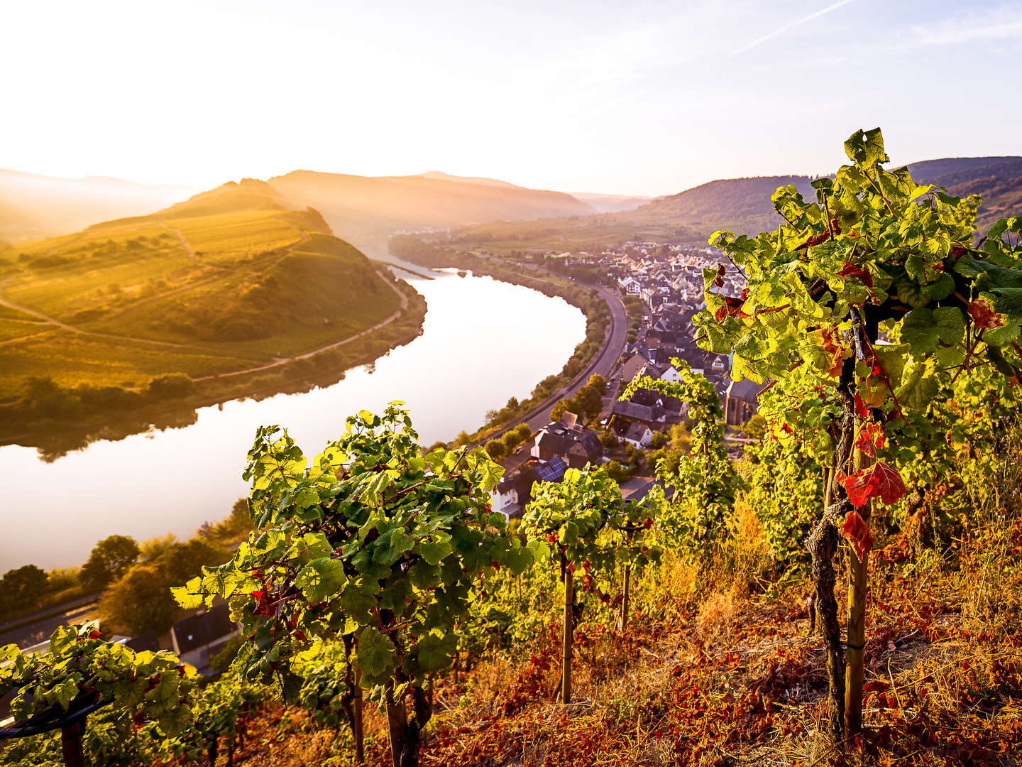 Moselreise - Genießertage inkl. Schifffahrt und Weinprobe