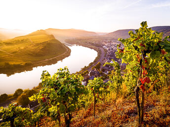 Moselreise - Kurzreise inkl. Weinprobe, Schifffahrt oder Museum - 3 Tage