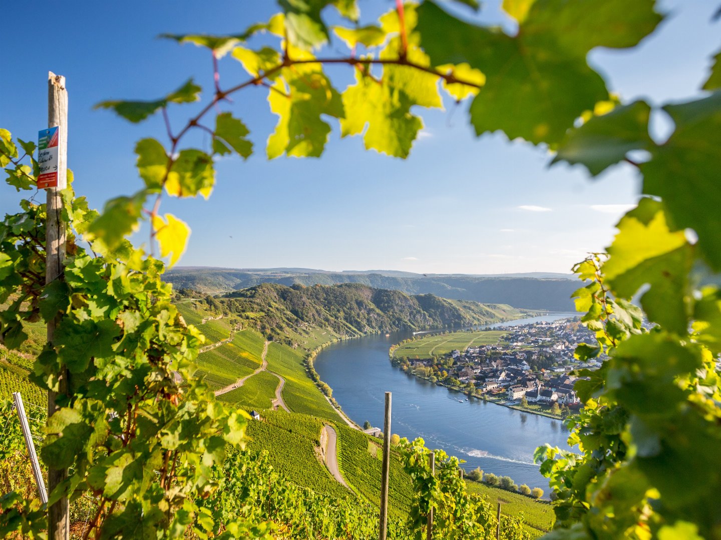 Wandern zu jeder Jahreszeit entlang der Mosel 2025