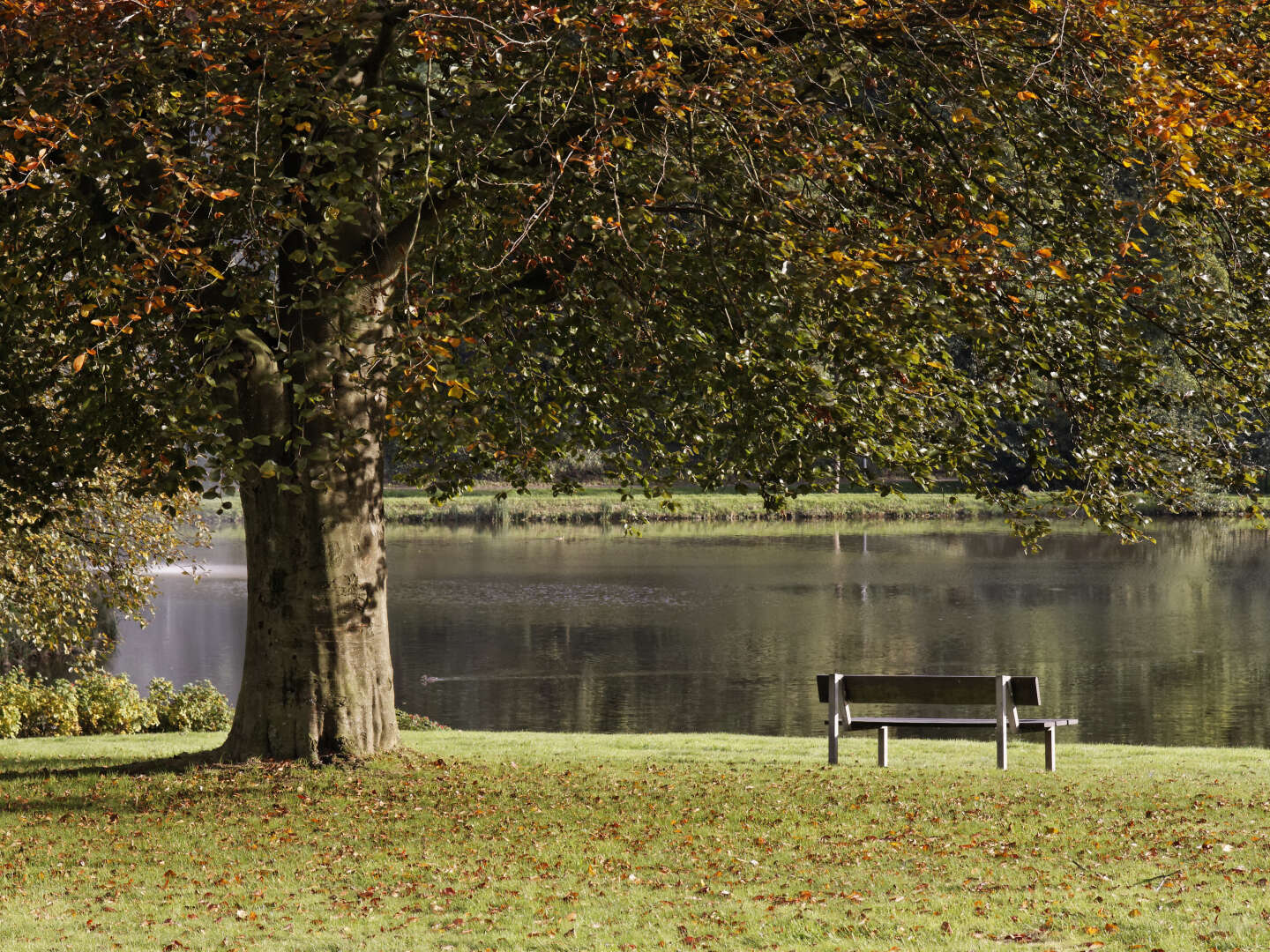 Auszeit am Teutoburger Wald | 3 Tage