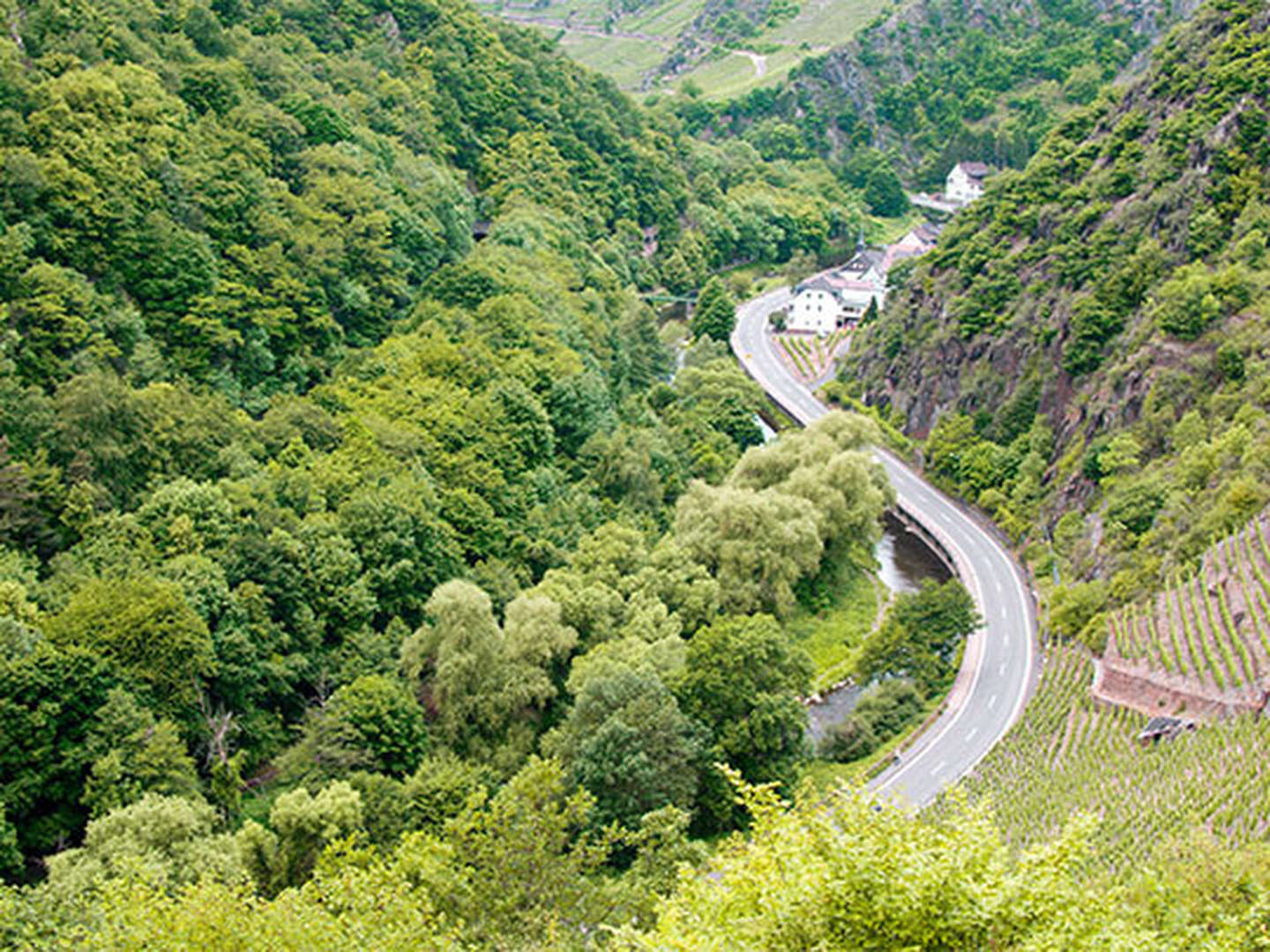 Eifel-Erholung - Entspannen im Bockshahn inkl. HP