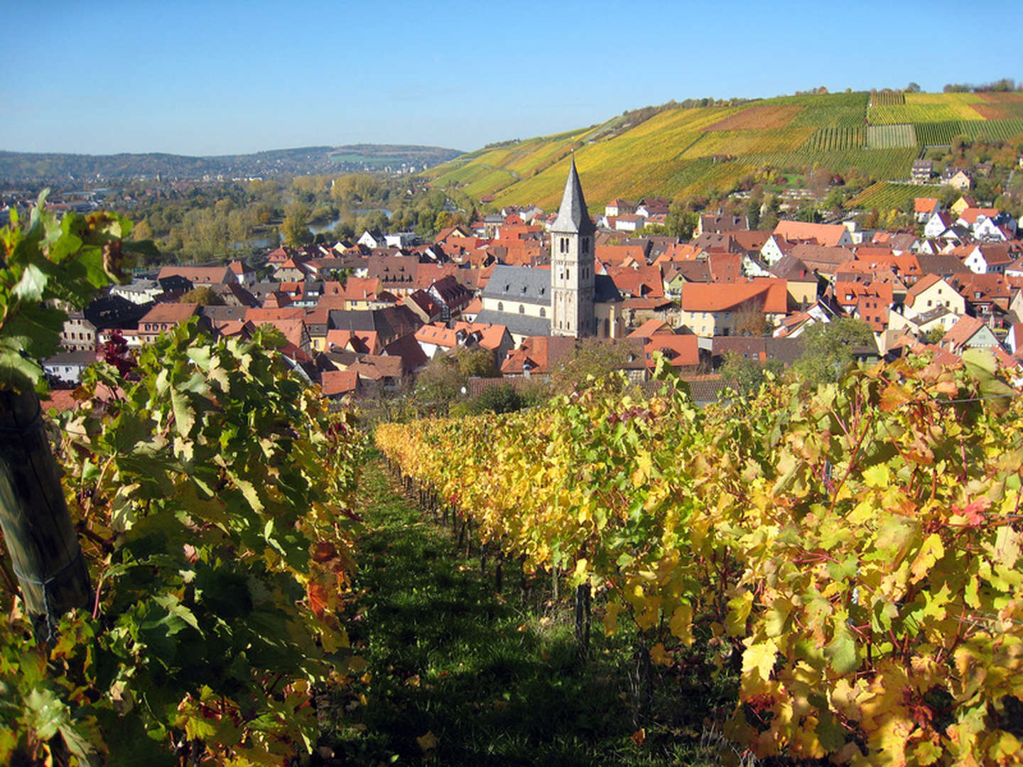 Schäufele - Arrangement - 2 Tage in Unterfranken inkl. Abendessen