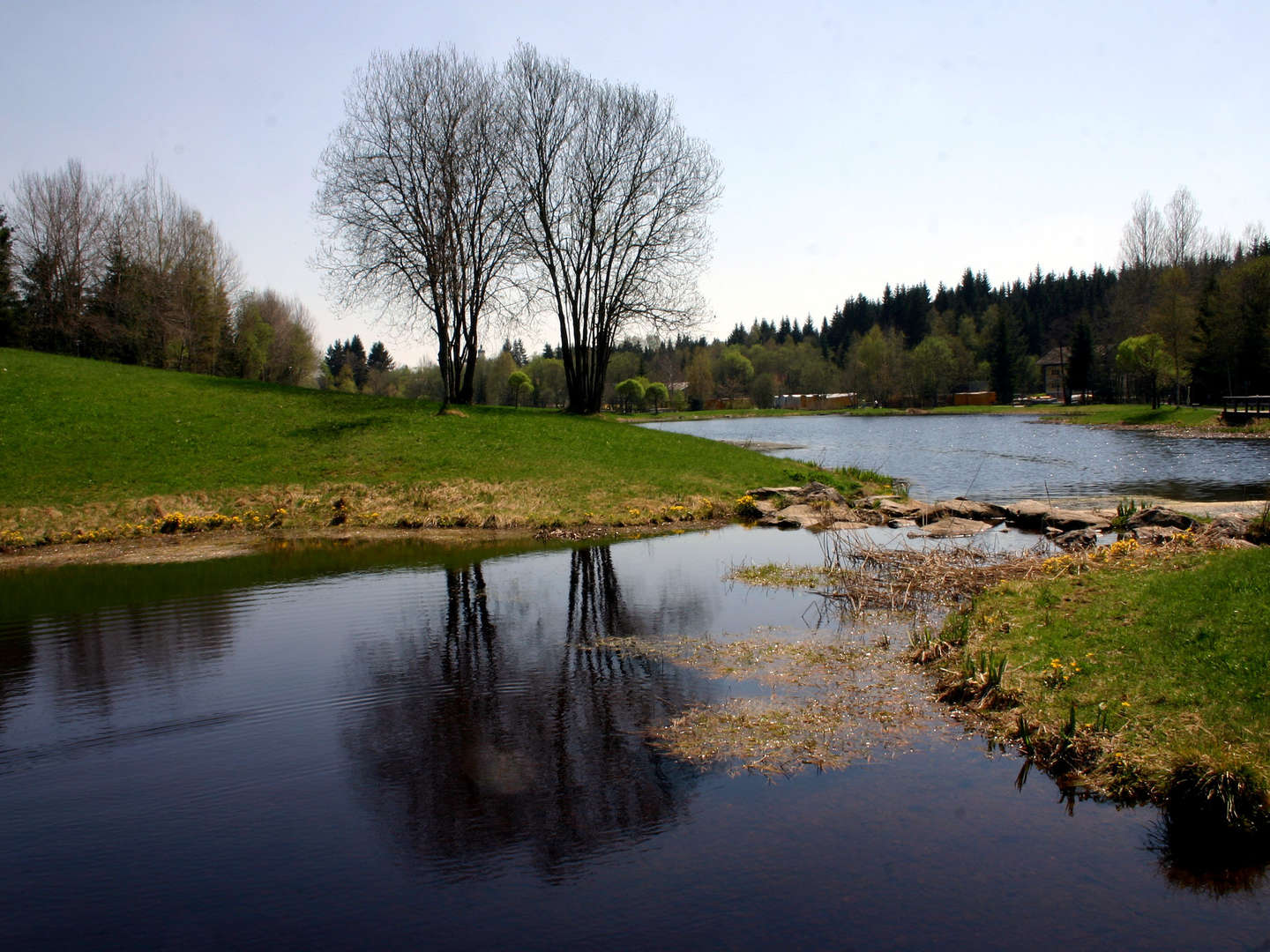 Jahreswechsel im Waldfrieden 