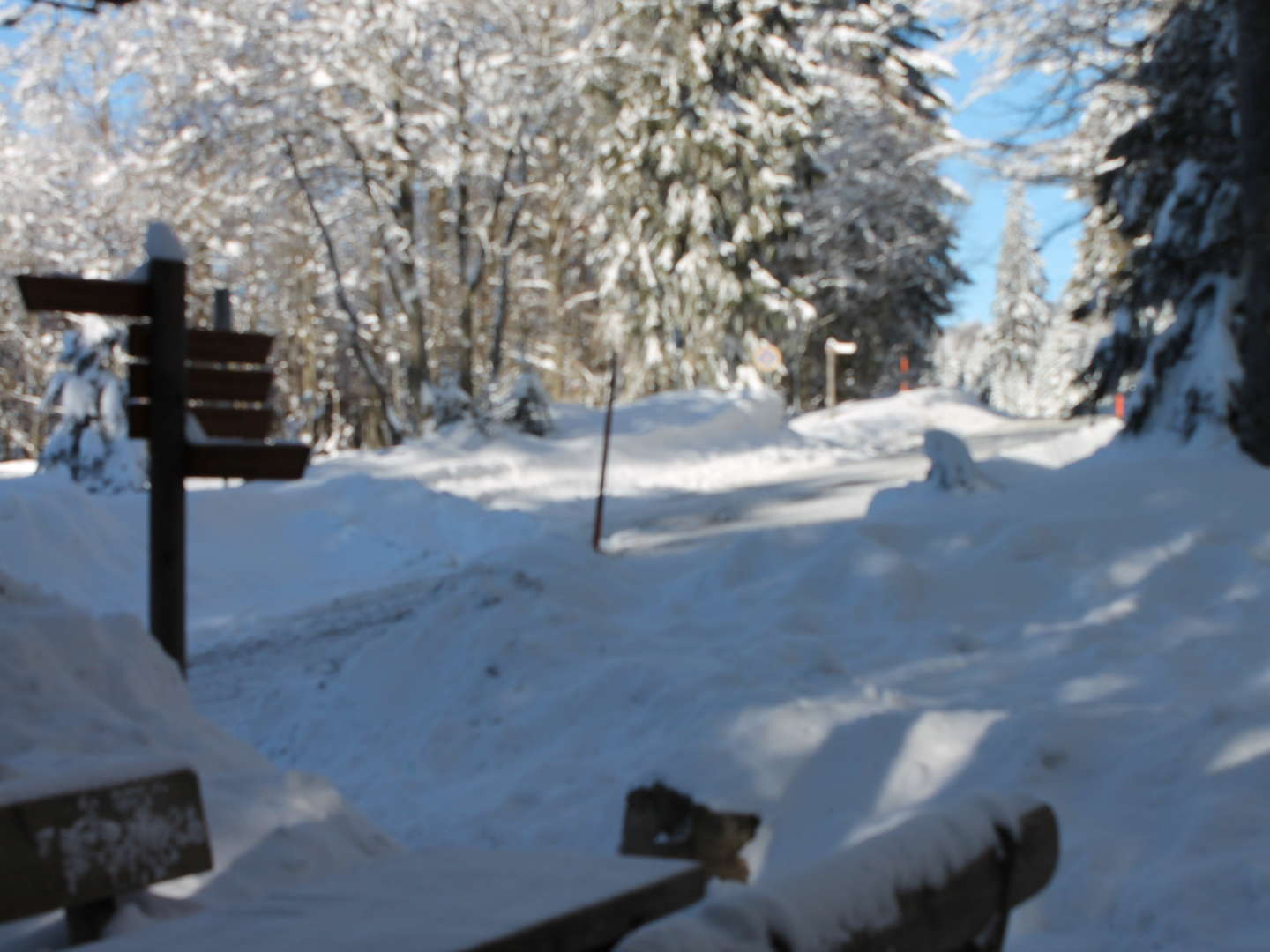 Winter - Erholungstage im Waldfrieden 