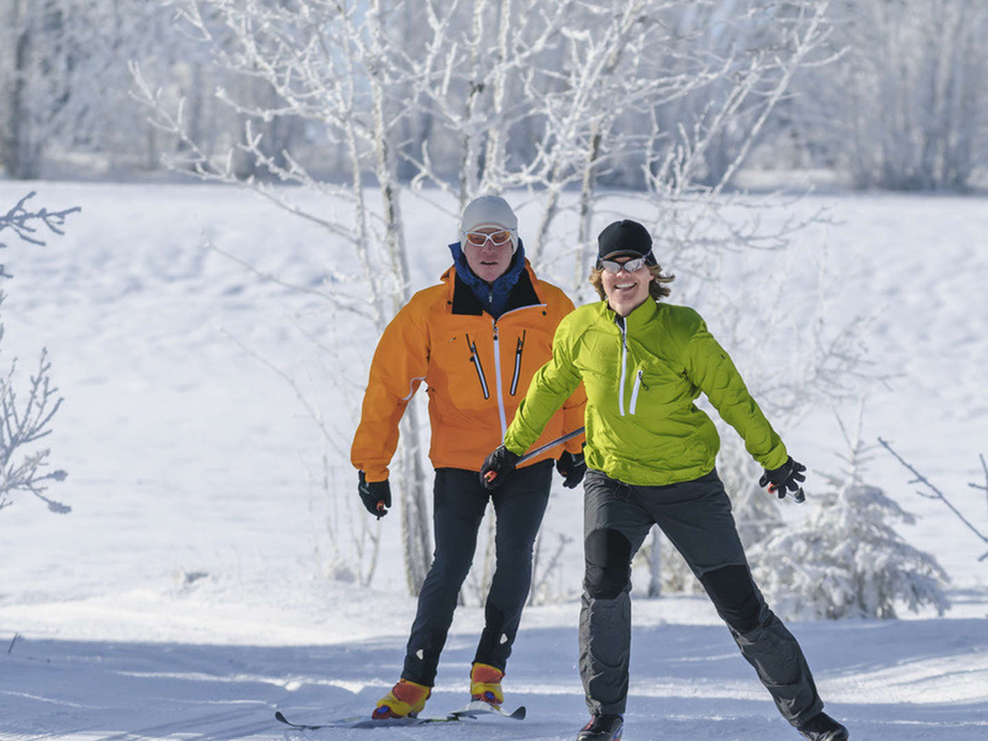 Winter - Erholungstage im Waldfrieden 