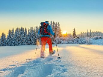 Winter - Erholungstage im Waldfrieden 