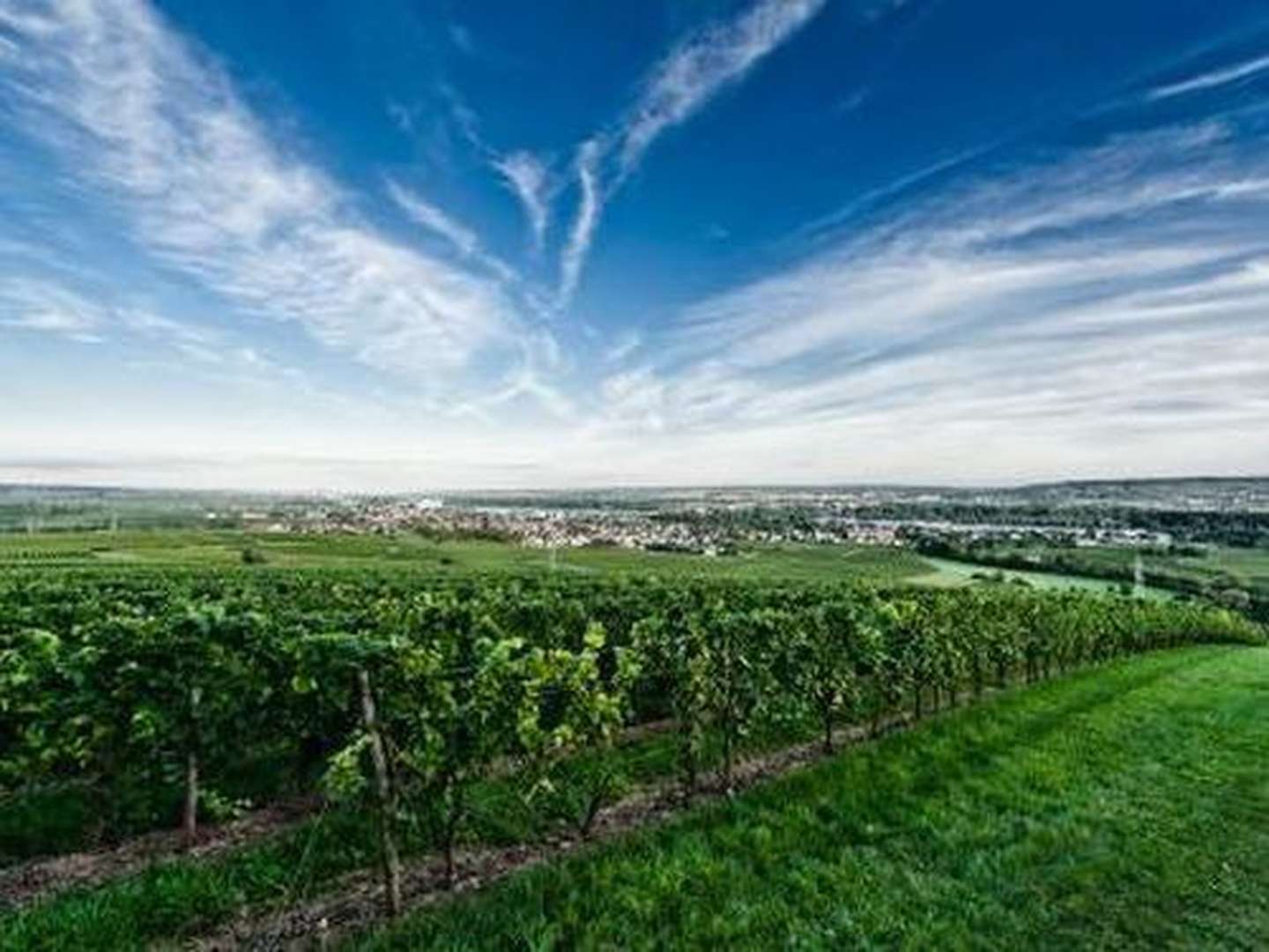 2 Tage - Romantische Zeit zu Zweit am Rhein inkl. 4-Gang-Menü 