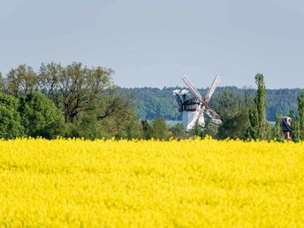 3 Tage Natur-Urlaub im Grünen vor der Metropole Hamburg