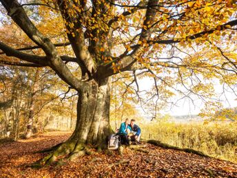 3 Tage Natur-Urlaub im Grünen vor der Metropole Hamburg