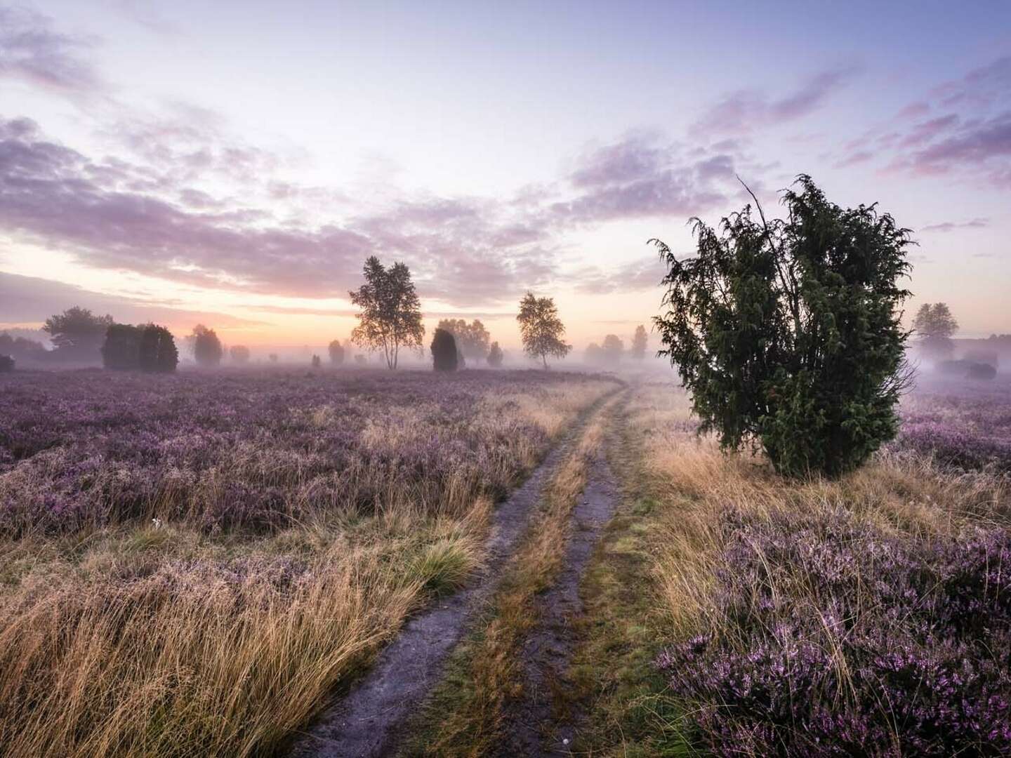 3 Tage Natur-Urlaub im Grünen vor der Metropole Hamburg