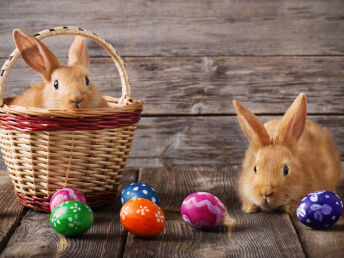 Ostern genießen im romantischen Celle 