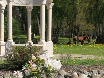 Streicheleinheiten für die Seele