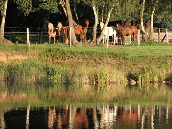 Ostern in der Seenplatte