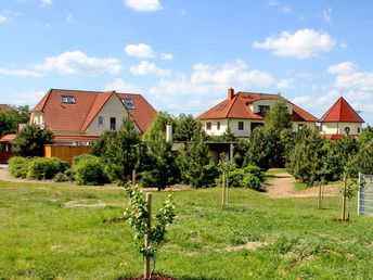 Streicheleinheiten für die Seele